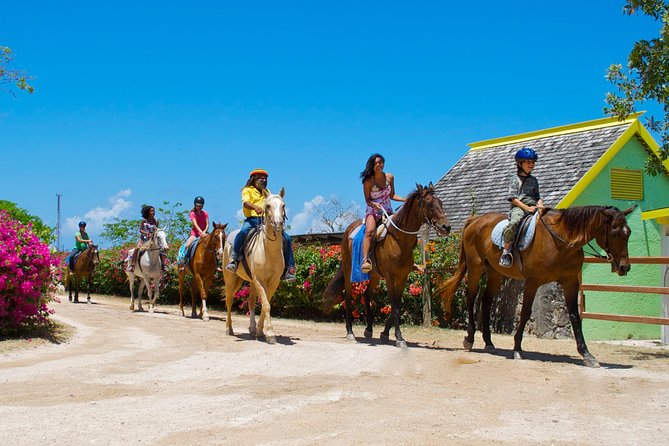 Sand N Saddle Horseback Ride & Swim Tour From Falmouth - Highlights of the Experience