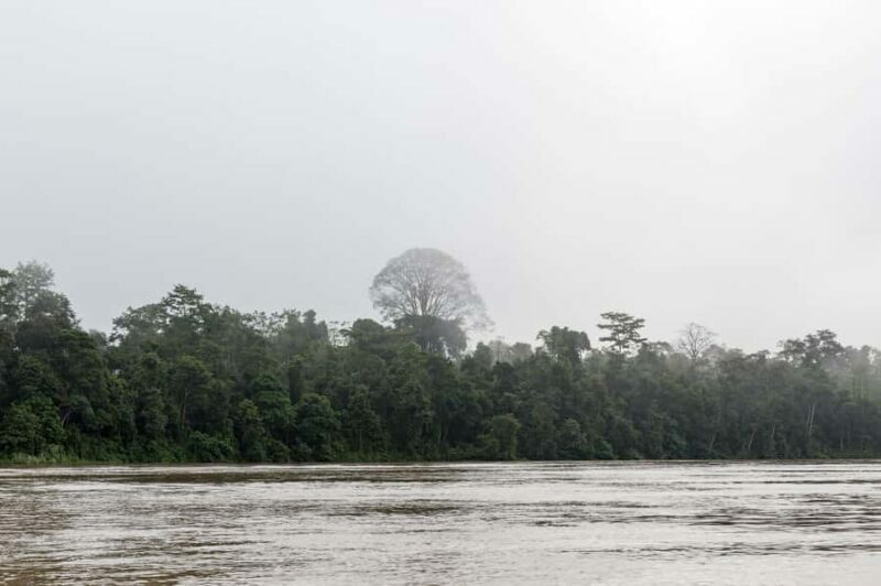 Sandakan: 2-Day Kinabatangan River Wildlife Tour & Cave - Key Points