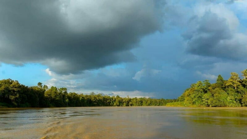 Sandakan: 2 Days 1 Night Bilit, Kinabatangan River Wildlife - The Experience Provider