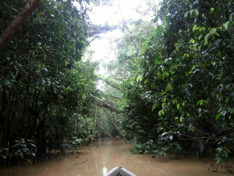 Sandakan: 3D2N The Wild Heart of Borneo River Secrets - Practicalities and Tips