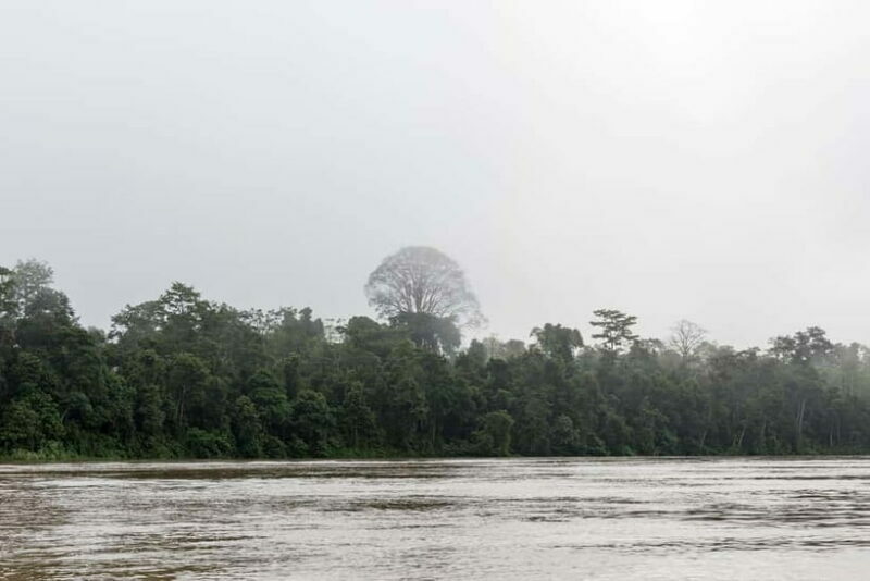 Sandakan: 3D2N The Wild Heart of Borneo River Secrets - The Experience Provider