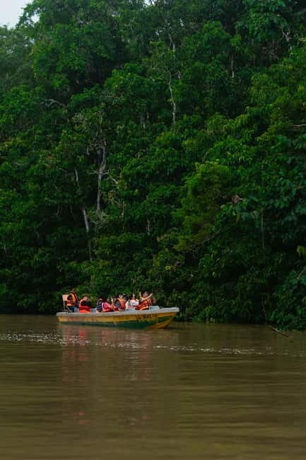 Sandakan: Kinabatangan River Wildlife Cruise with Lunch - A Closer Look at the Itinerary