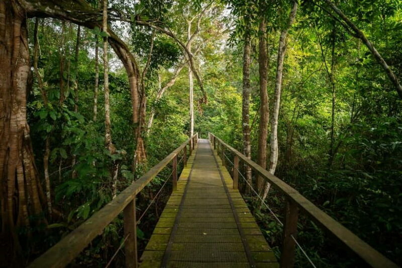 Sandakan: Kinabatangan River Wildlife Cruise with Lunch - Practical Tips for Travelers