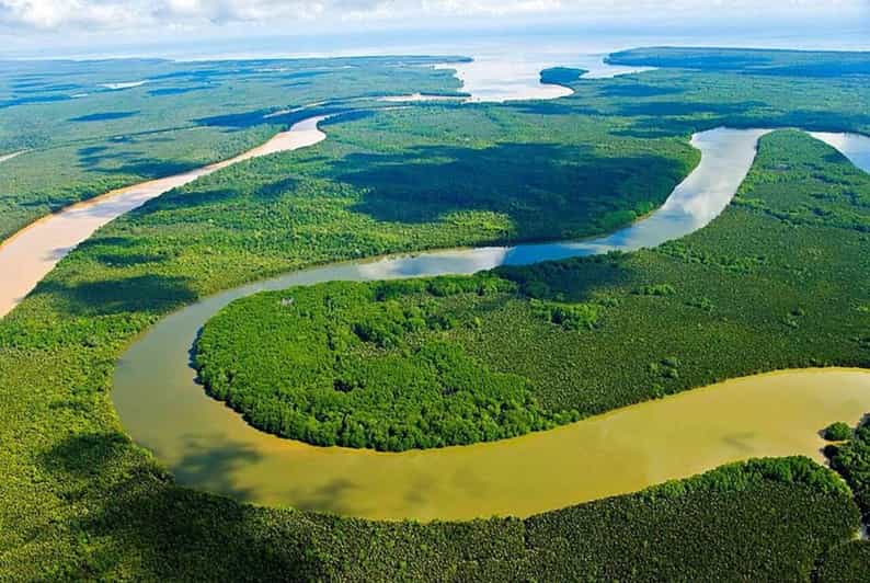 Sandakan: Kinabatangan River Wildlife Cruise With Lunch - Wildlife Sightings