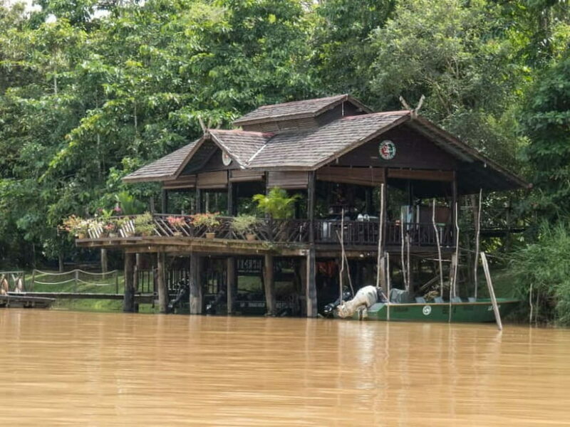 Sandakan: Sukau Rainforest Wildlife Journey & Dawn Cruises - Introduction: Why This Tour Matters