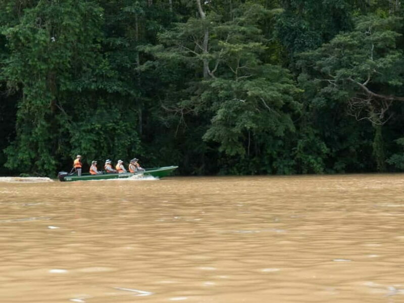 Sandakan: Sukau Rainforest Wildlife Journey & Dawn Cruises - What’s Included and What to Prepare