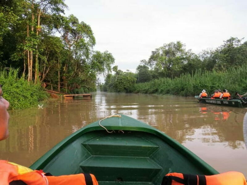 Sandakan: Sukau Rainforest Wildlife Journey & Dawn Cruises - The Sum Up: Who Should Consider This Tour?