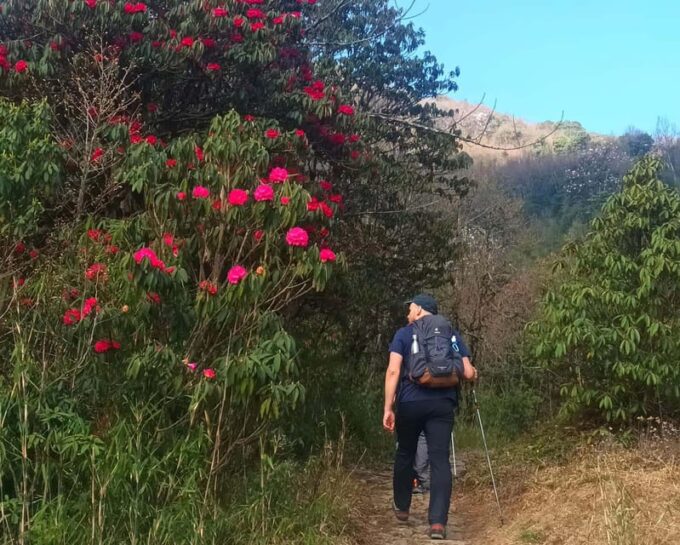 Sandakphu Singalila Ridge Trek - 6 Days - Prohibited Items