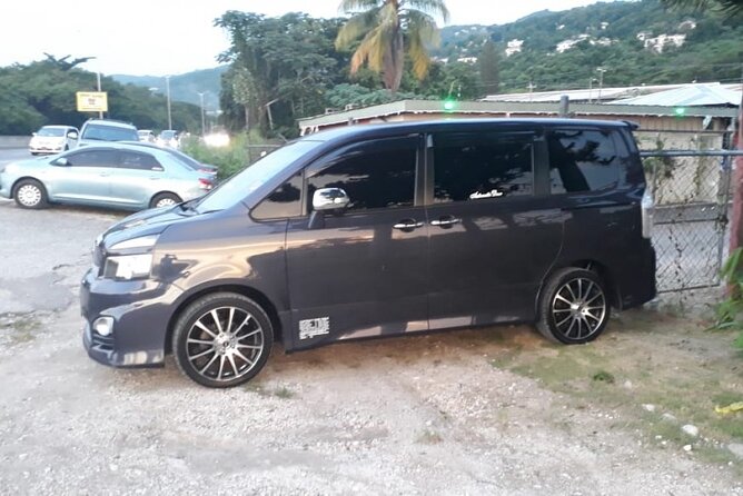Sandals Southcoast Private Airport Transfer - About the Private Airport Transfer