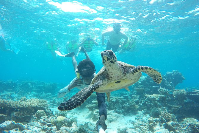 Sandbank Snorkeling and Sunset Cruise - Inclusions