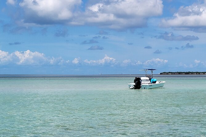 Sandbar Adventure - Key Features of the Tour