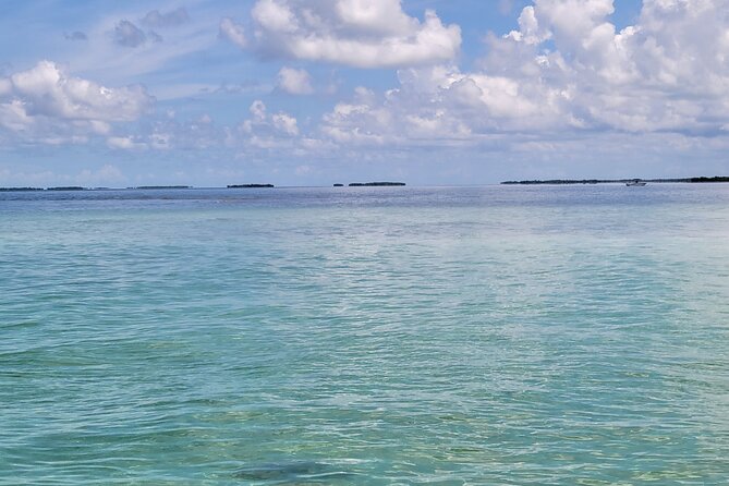 Sandbar Adventure - Safety Considerations
