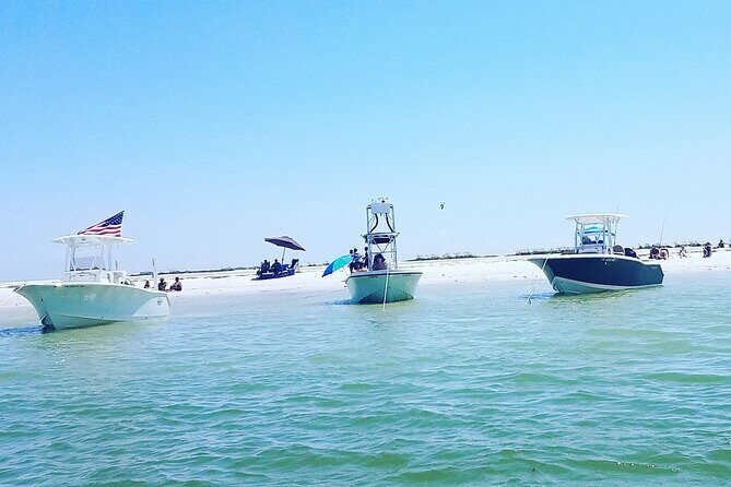 Sandbar, Beach, Dolphin Watching Cruise Sarasota, Florida - Key Points