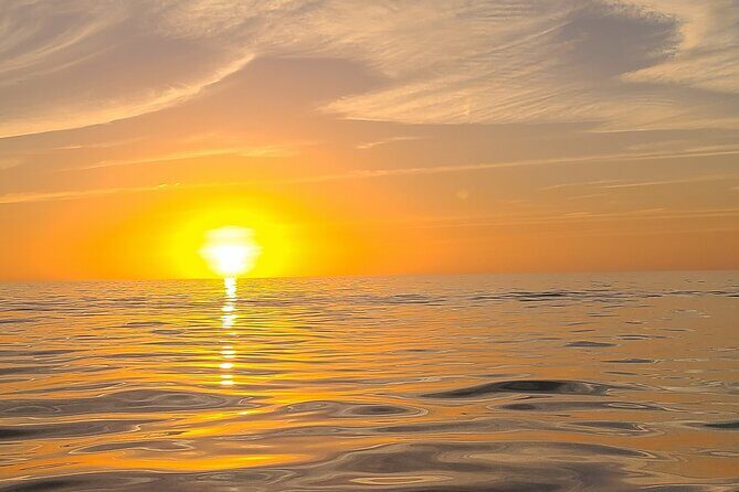 Sandbar, Beach, Dolphin Watching Cruise Sarasota, Florida - An In-Depth Look at the Sarasota Boat Tour Experience