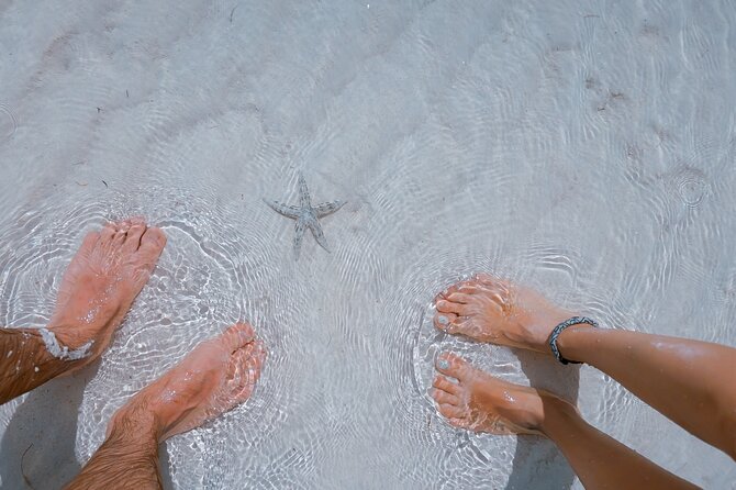 Sandbar Boat Trip in Key West - Inclusion of the Trip Package