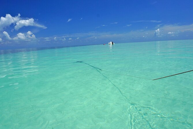 Sandbar Excursion in Key West - Important Information