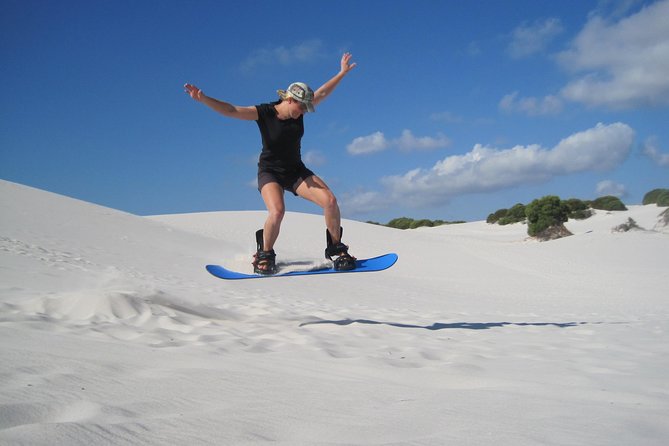 Sandboarding From Cape Town - Guest Reviews and Feedback