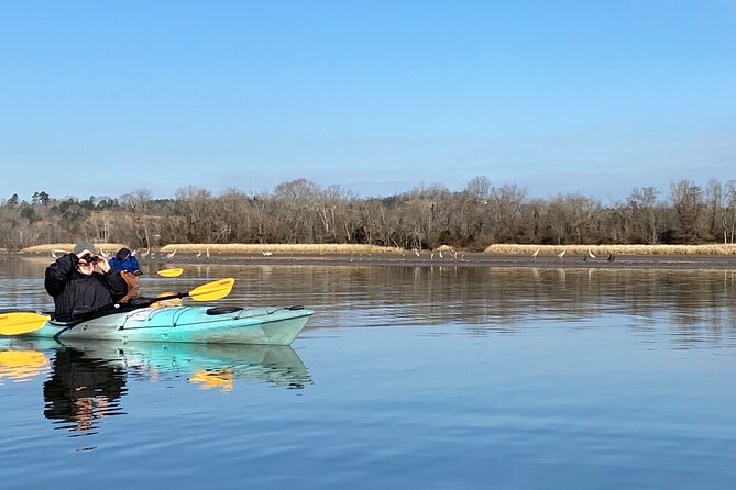 Sandhill Crane Kayak Tour With Chattanooga Guided Adventures - Inclusions in the Tour Package