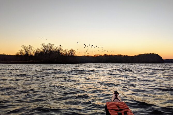 Sandhill Crane Kayak Tour With Chattanooga Guided Adventures - Additional Tour Information