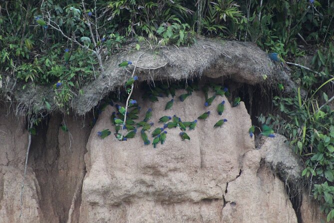 Sandoval, Collpita De Loros and Adventure 4 Days / 3 Nights - Frequently Asked Questions