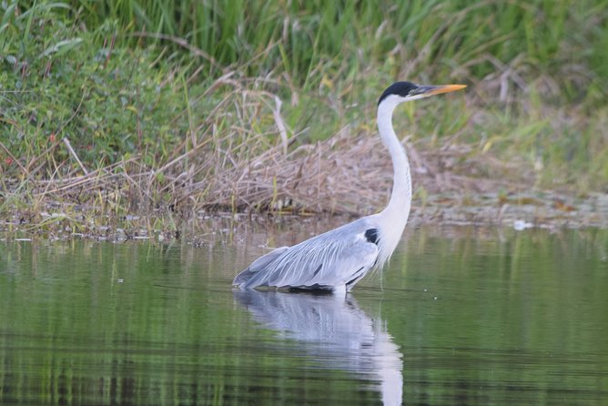 Sandoval Lake and Tambopata National Reserve - Pricing and Cancellation