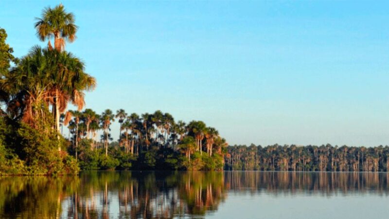 Sandoval Lake Tambopata 4 Days 3 Nights: Chuncho Macaw Clay - Included Services