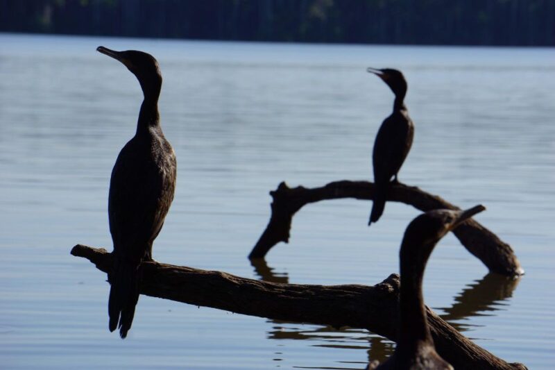 Sandoval Lake Tour 3 Days - Frequently Asked Questions