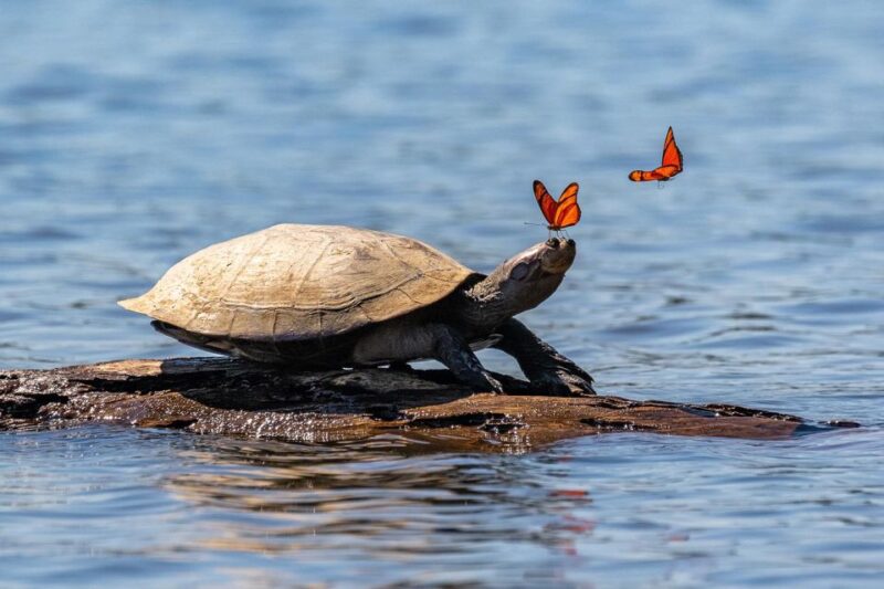 Sandoval Lake Yacumama Lake Piranha Fishing 5 Days - First Days Itinerary