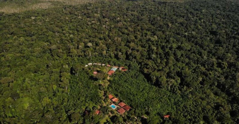 Sandovals Secrets- 2 Days in the Tambopata Jungle - Experience Highlights