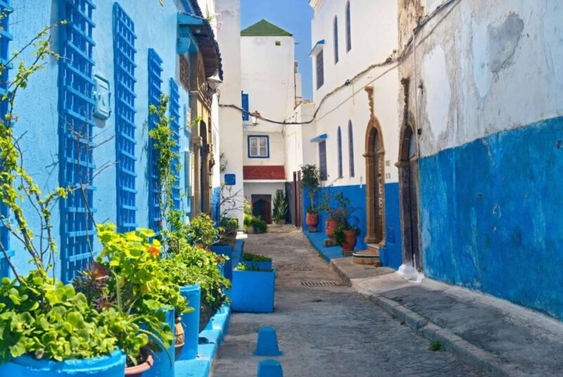 Sands and Serenity: 8 Days Desert and Kasbah Adventure - Tour Inclusions