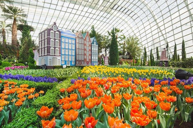 Sands SkyPark+Gardens by the Bay(CloudForest&Super Tree)Transfers - Tour Inclusions