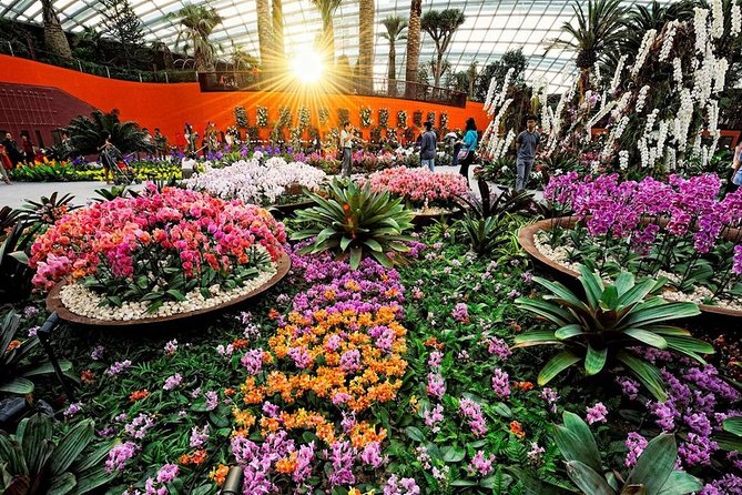 Sands SkyPark+Gardens by the Bay(CloudForest&Super Tree)Transfers - Ratings and Feedback