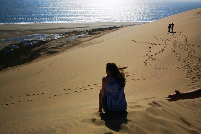 Sandwhich Harbour Dune 4x4 Half Day - Highlights of the Experience
