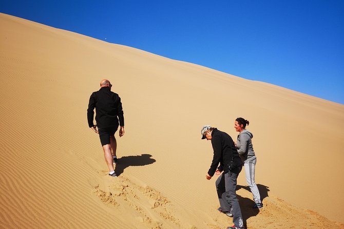 Sandwhich Harbour Dune 4x4 Half Day - Customized Tour Options