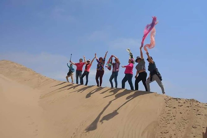 Sandwhich Harbour Dune 4x4 Half Day - Diverse Birdlife at Walvis Bay Lagoon