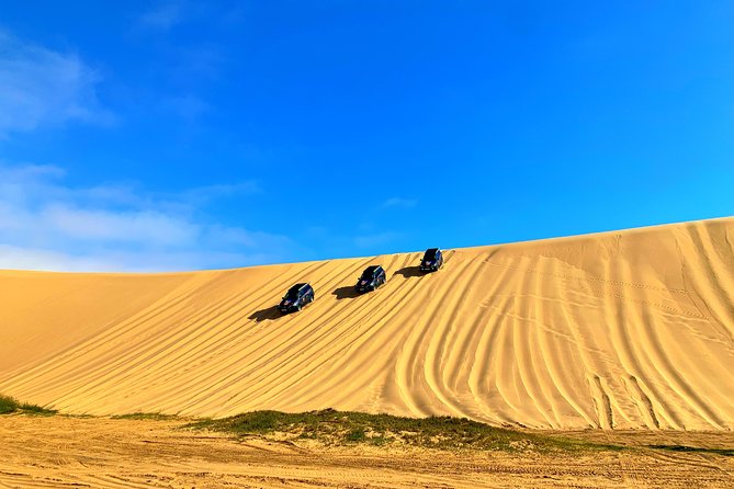Sandwich Harbour 4x4 Adventure - Tour Highlights and Activities