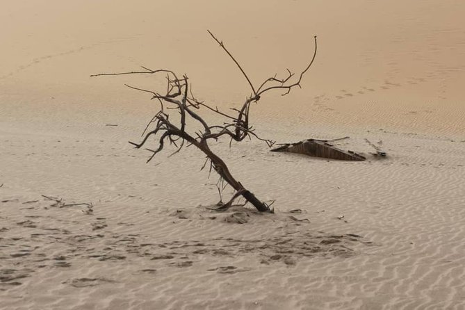 Sandwich Harbour 4x4 Guided Tours.Join Us for an Awe Inspiring Adventure. - Namib-Naukluft National Park