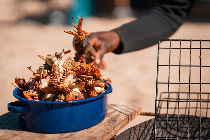 Sandwich Harbour 4x4 Half Day Experience With Beach Braai - Personalized Transfer Options