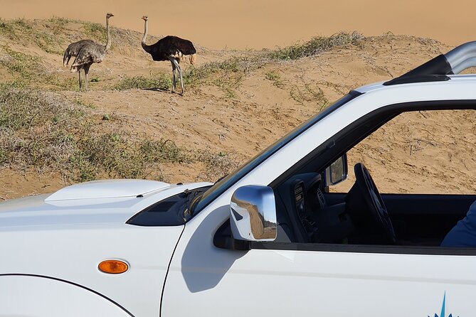Sandwich Harbour 4x4 Tour - Breathtaking Coastal Landscapes
