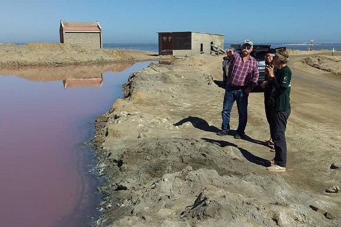 Sandwich Harbour Adventure: Seals and Sandwich Harbour Dune Drive - Highlights of the Tour
