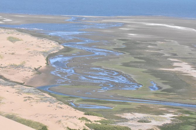 Sandwich Harbour Adventure: Seals and Sandwich Harbour Dune Drive - Thrilling Dune Ride