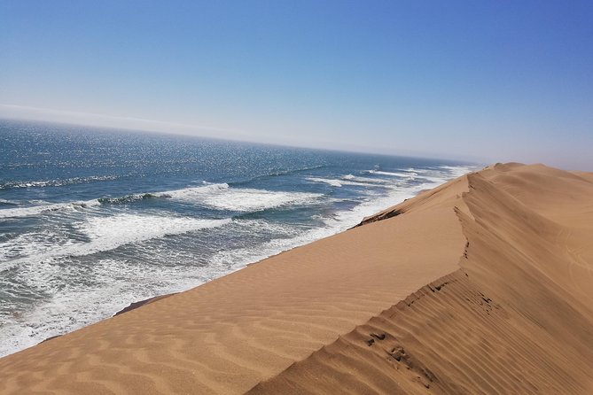 Sandwich Harbour Scenic Excursion - For The Cruise Ships - Spotting Wildlife and Fauna