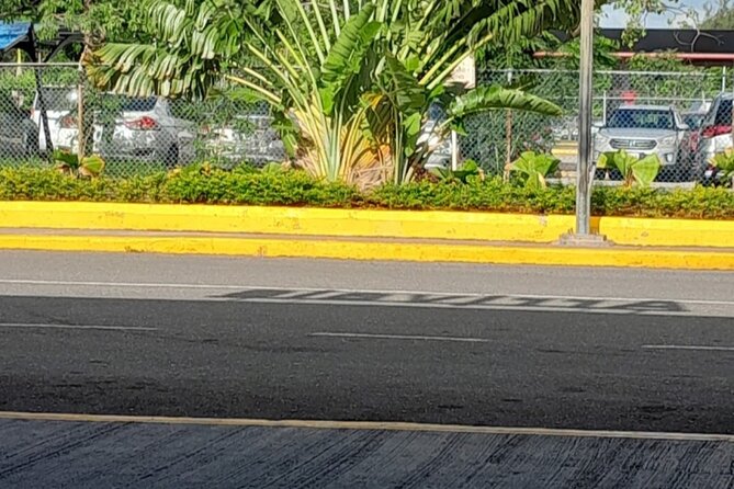 Sangster International Airport Private Transfer to Montego Bay - Traveler Reviews and Feedback