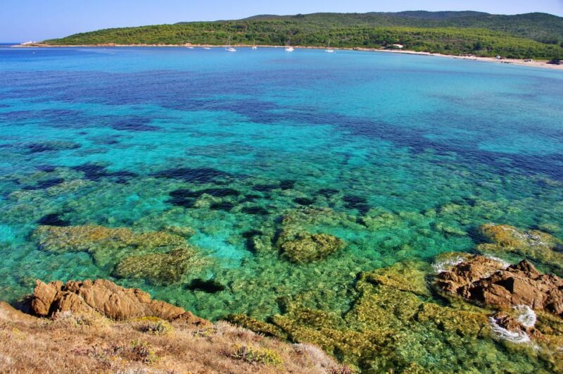 Sanguinaires Islands Tour Capo Di Feno - Speedboat Ride to Sanguinaires Islands