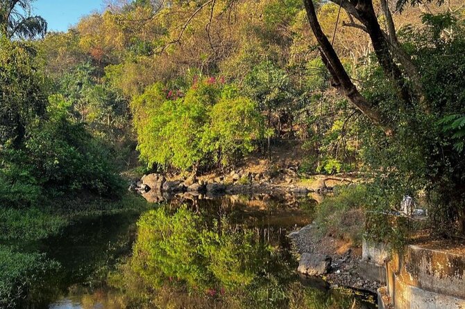 Sanjay Gandhi National Park and Kanheri Caves Day Private Tour - Discovering Kanheri Caves