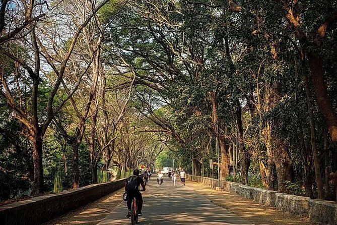 Sanjay Gandhi National Park and Kanheri Caves Day Private Tour - Customer Testimonials