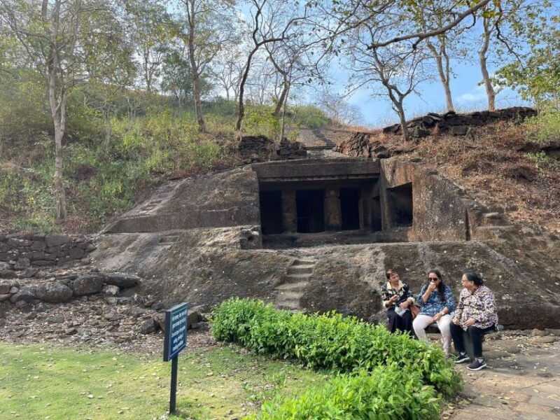 Sanjay Gandhi National Park + Kenheri Caves + Lion Safari - Key Points
