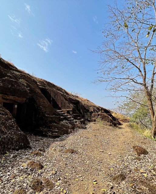 Sanjay Gandhi National Park + Kenheri Caves + Lion Safari - Tour Itinerary