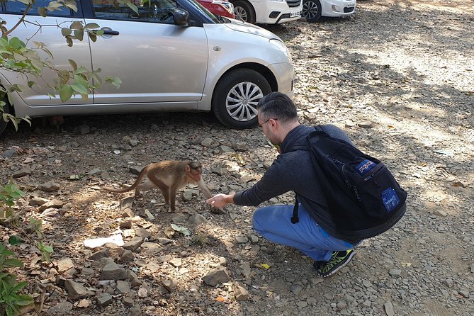 Sanjay Gandhi National Park(SGNP) + Kenheri Caves + Lion Safari + Jain Temple - Accessibility and Participation