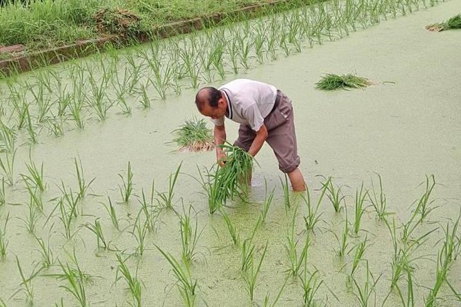 Sanjiang Chengyang Dong Village Private Day Tour From Guilin or Yangshuo - Accessibility